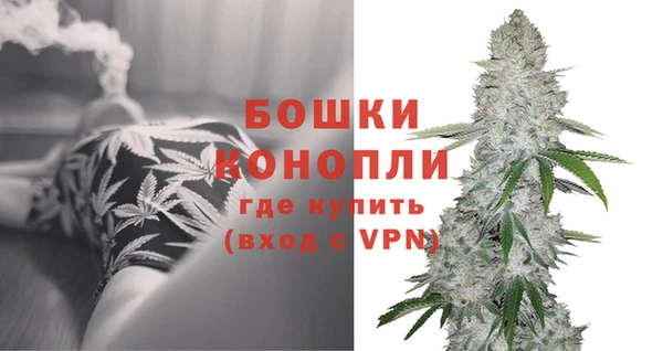 spice Богородицк